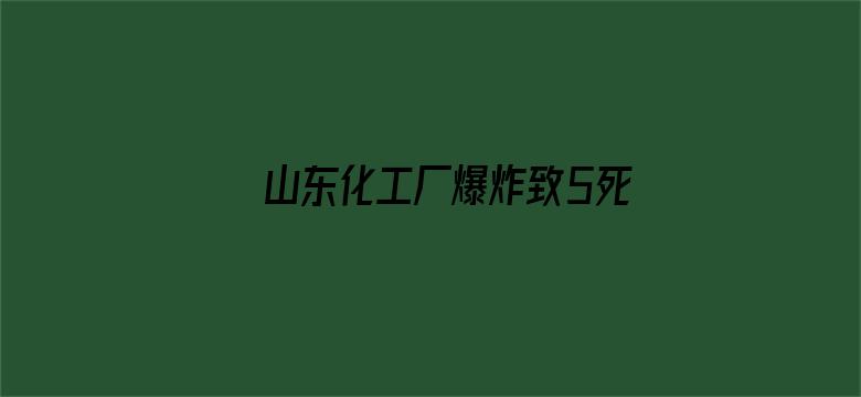 山东化工厂爆炸致5死 原因初步查明